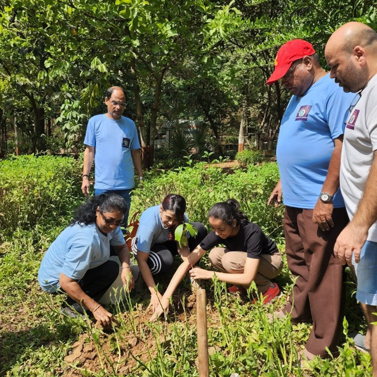 Read more about the article Tree Plantation Drive